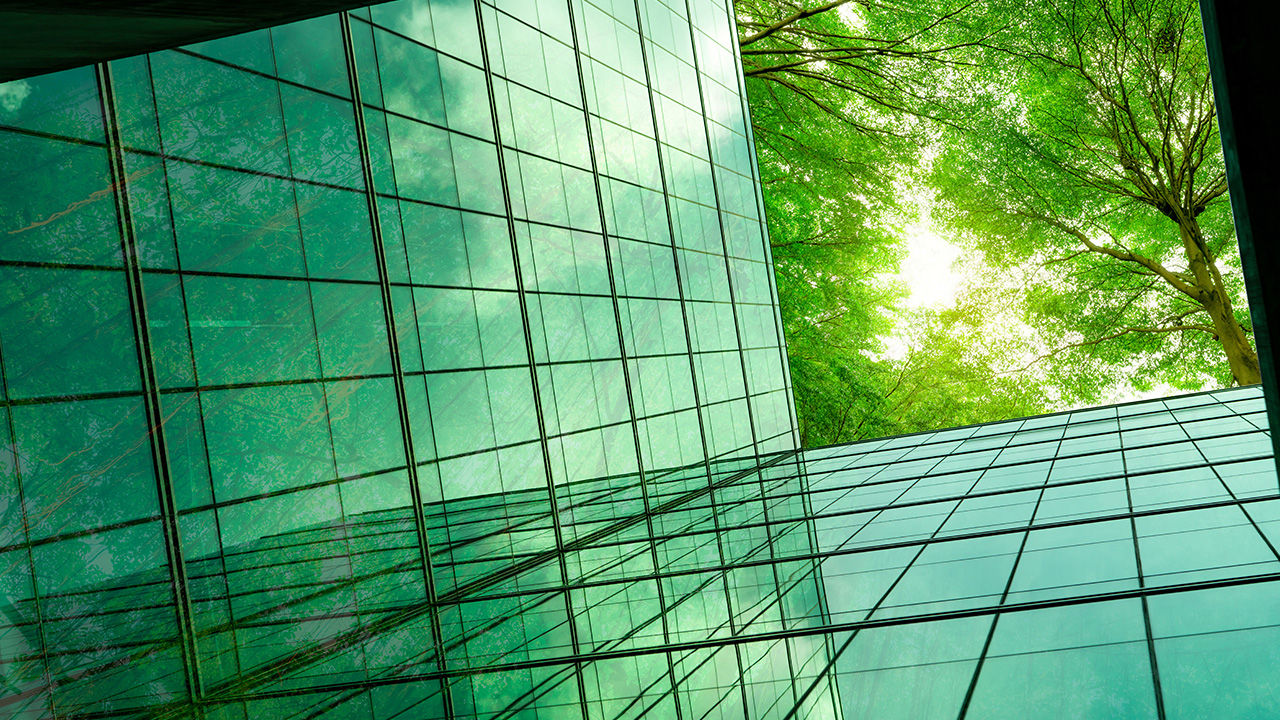 Looking up at trees in an atrium